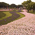 台北花博公園