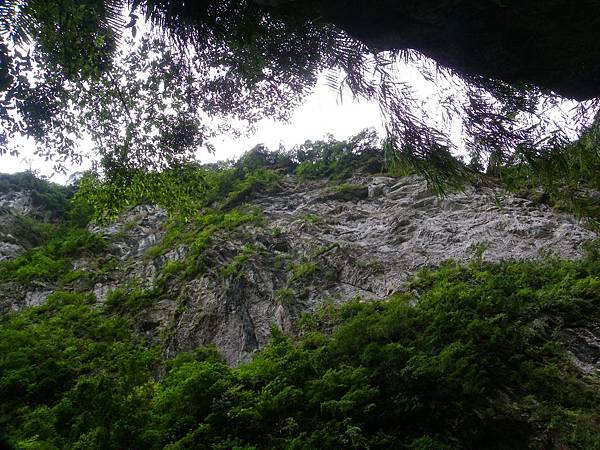 砂卡礑步道戲水樂20130901_021