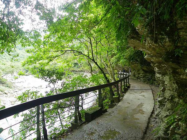 砂卡礑步道戲水樂20130901_024