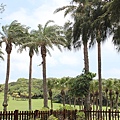 鵝鸞鼻公園-2.JPG