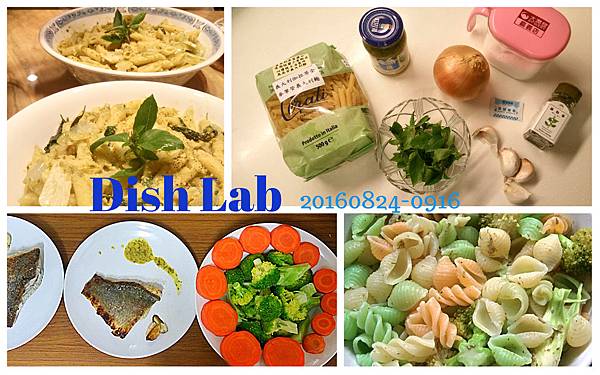 Dish Lab封面 160824-160916