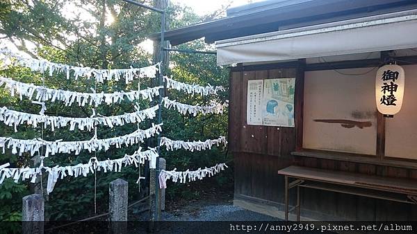 《日本京阪》20170902 · 第三天伏見稻荷大社。宇治抹