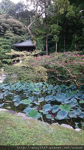 《日本京阪》20170903 · 第四天貴船流水麵。八阪神社