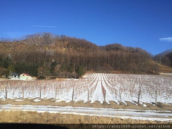 《日本北海道》20190113 · 第二天 池田葡萄酒城。丹