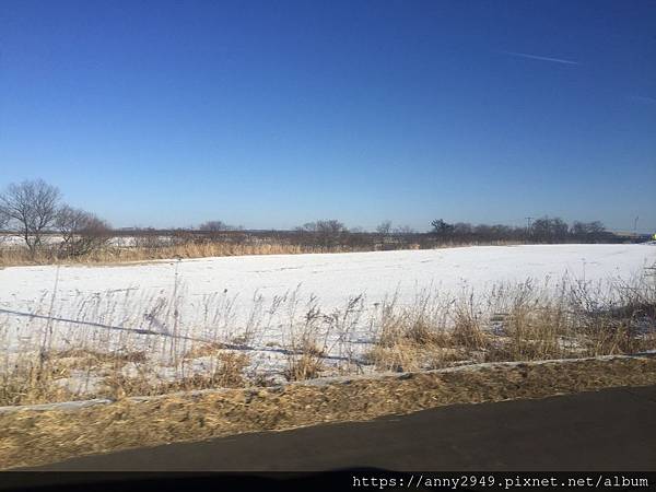 《日本北海道》20190113 · 第二天 池田葡萄酒城。丹