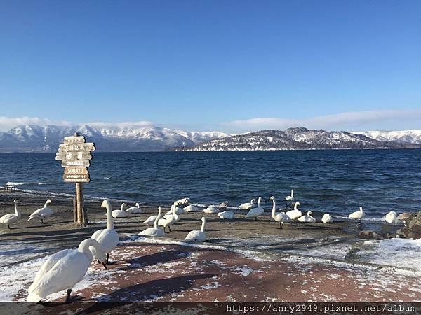 《日本北海道》20190114 · 第三天 摩周湖和屈斜路湖