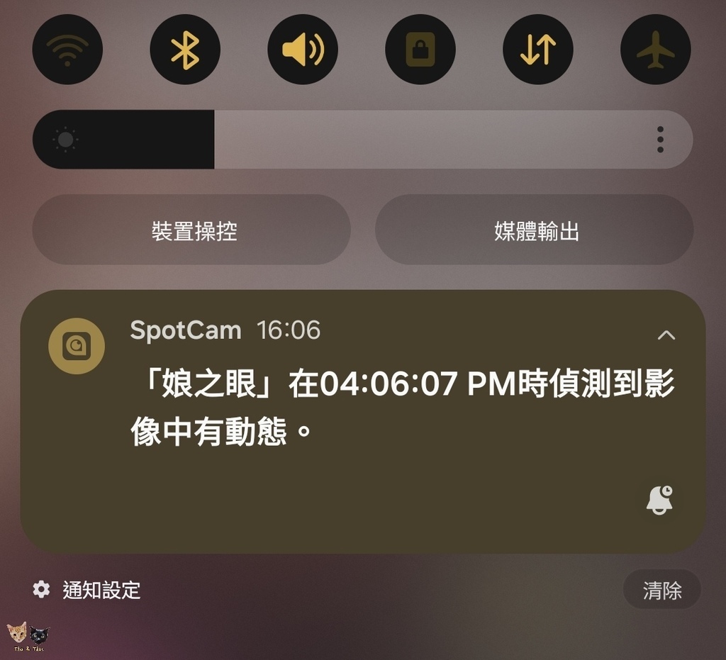 (3/3-3/9分批)[喵の週邊]SpotCam Mibo寵