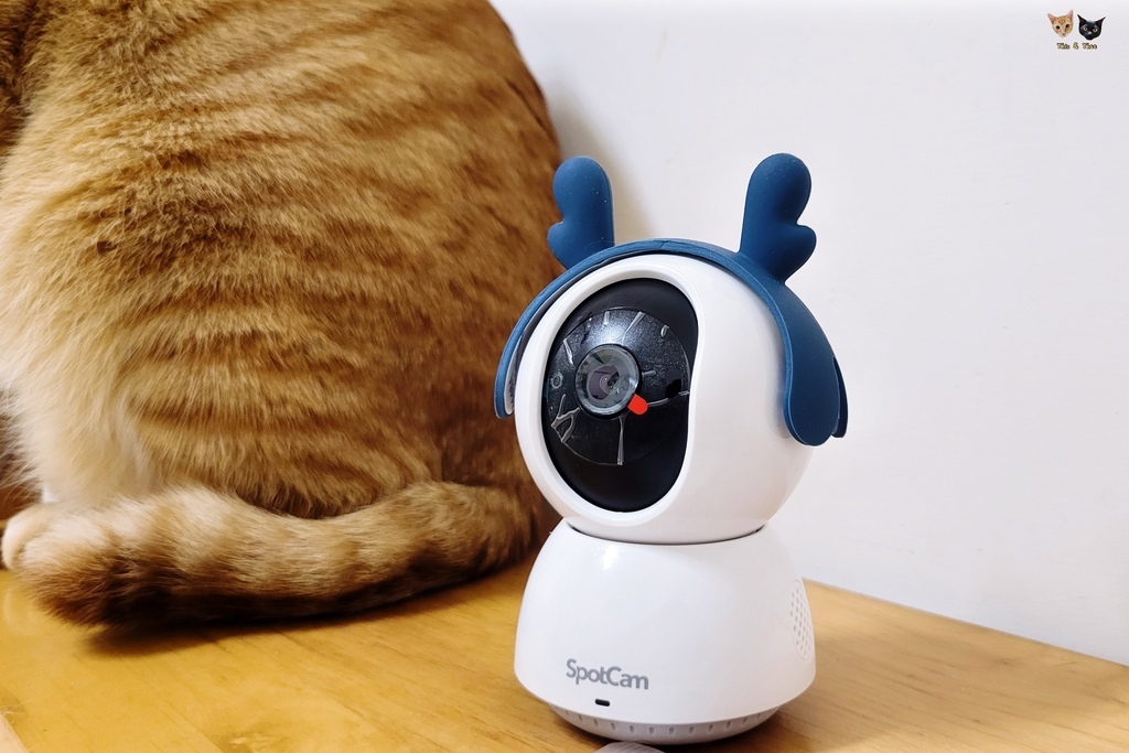 [喵の週邊]SpotCam Mibo寵物監控攝影機。寵物人物