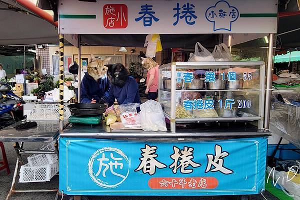 202403 台南善化區 小施店春捲