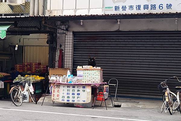 202403 台南新營 素食天然健康食品