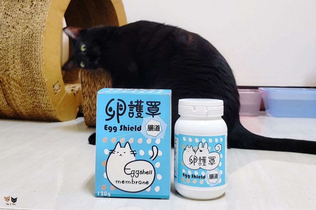 202407 【卵護罩】腸道養護