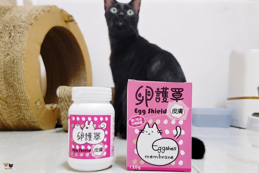 202407 【卵護罩】皮膚養護