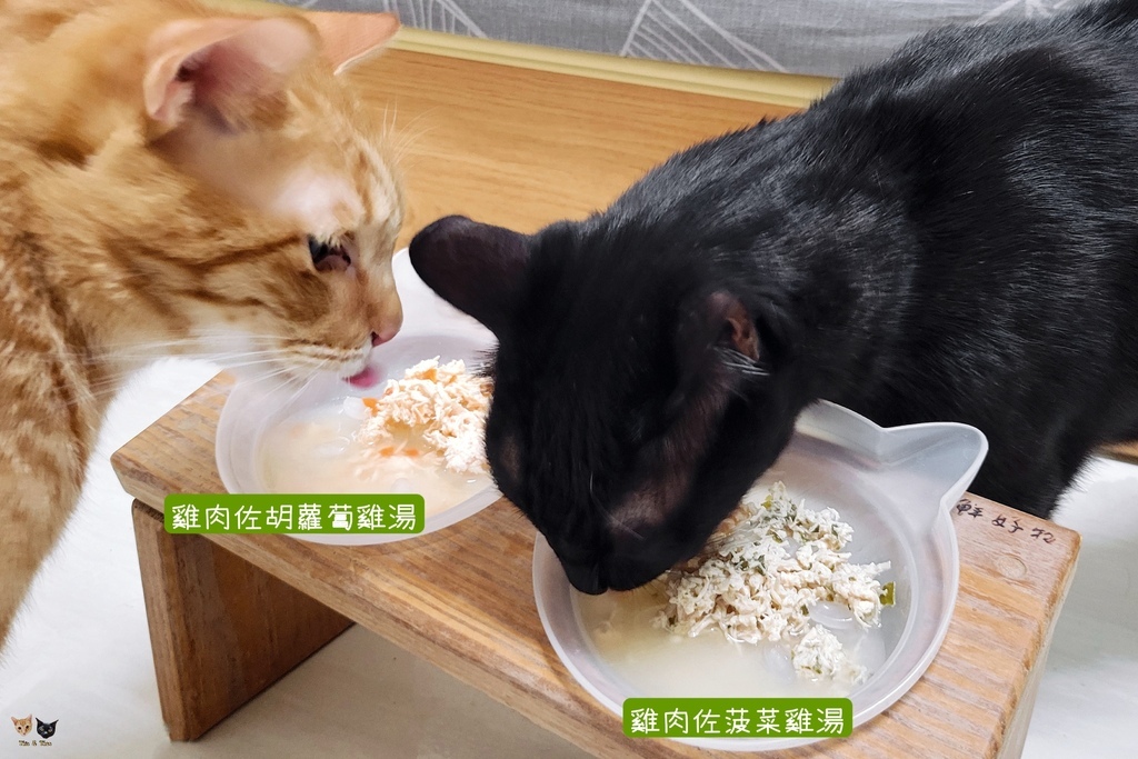202410 Natural KItty自然小貓【無膠肉湯系列】