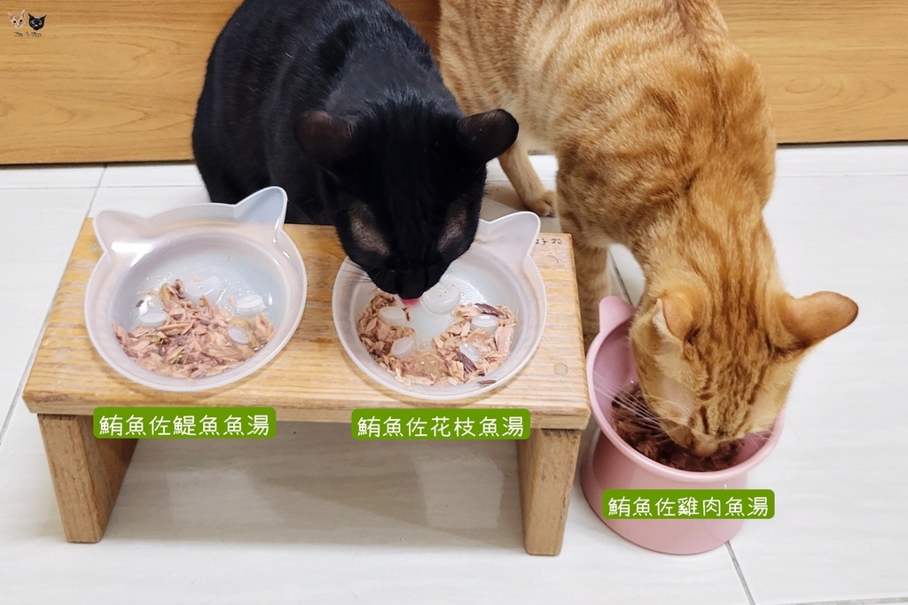202410 Natural KItty自然小貓【無膠肉湯系列】