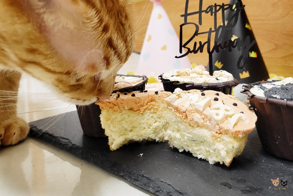 202507 吸吧 寵物手工蛋糕 202507 吸吧 寵物手工蛋糕