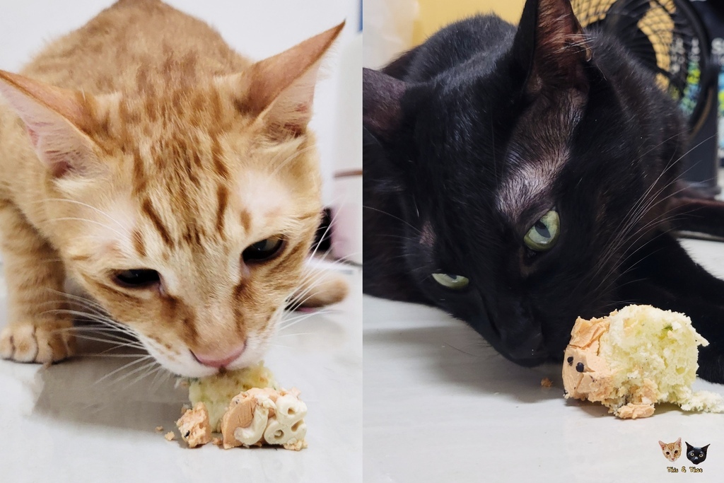 202507 吸吧 寵物手工蛋糕 202507 吸吧 寵物手工蛋糕