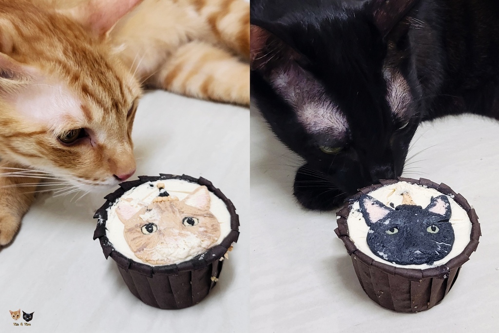 202507 吸吧 寵物手工蛋糕 202507 吸吧 寵物手工蛋糕