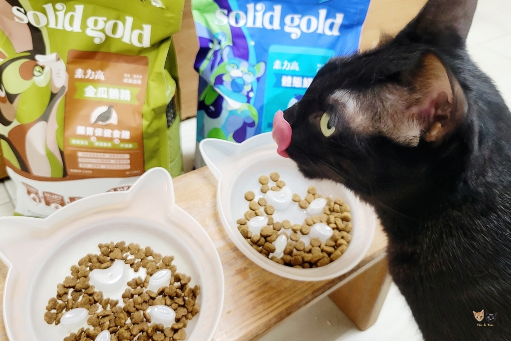 202509 solid gold 素力高