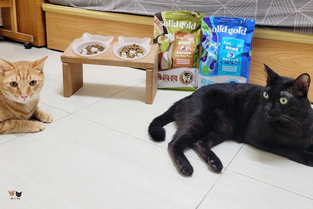 202509 solid gold 素力高