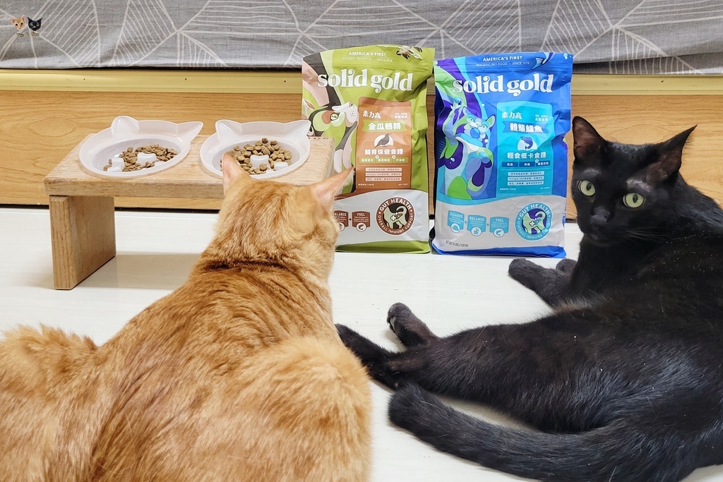 202509 solid gold 素力高