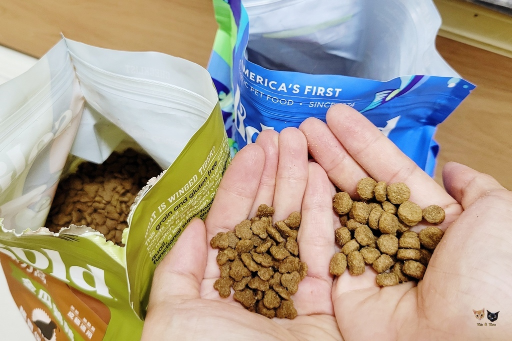 202509 solid gold 素力高