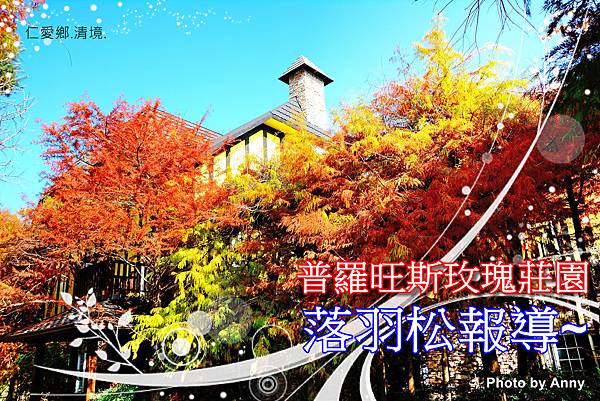 普a1 普a1