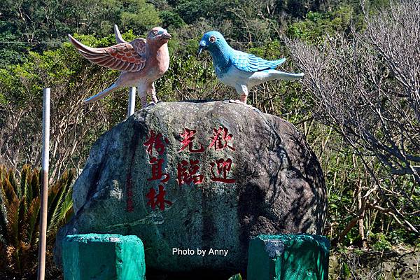 粉鳥林1-2.jpg