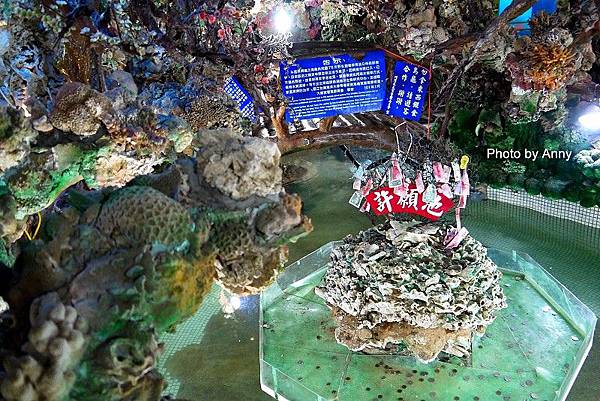 2016澎湖27.jpg 2016澎湖27.jpg