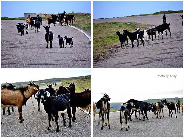 2016澎湖56.jpg 2016澎湖56.jpg