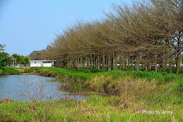 後壁1u - 複製.jpg