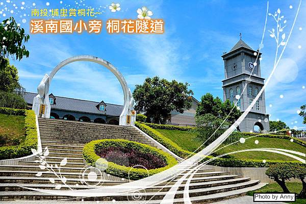 桐花a1.jpg 桐花a1.jpg