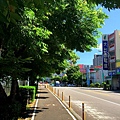 東光綠園道14.jpg