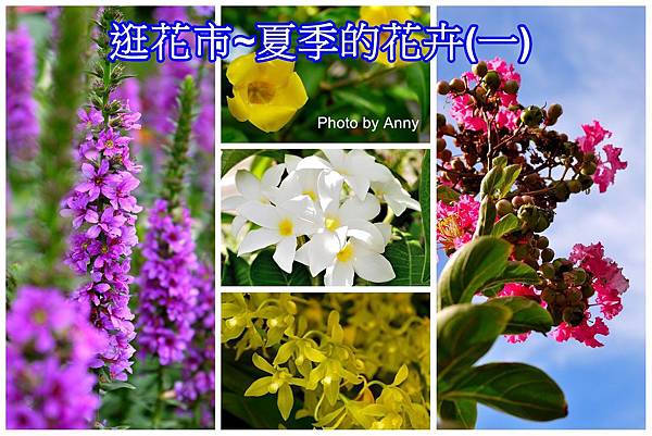 花市a1.jpg 花市a1.jpg