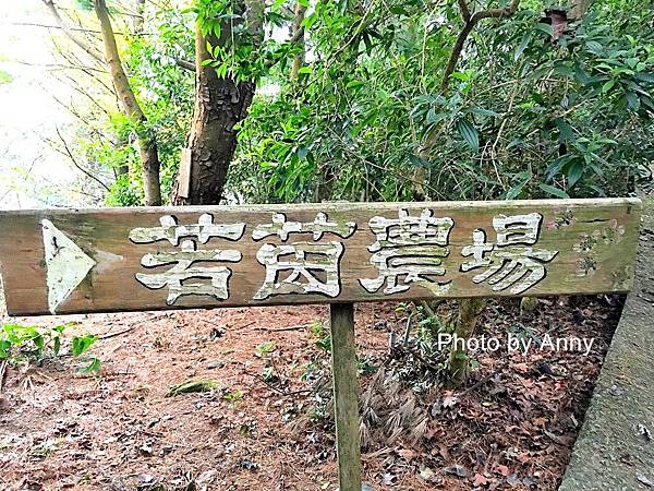 若1.jpg 若1.jpg
