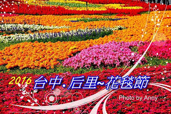 花毯節a1.jpg 花毯節a1.jpg