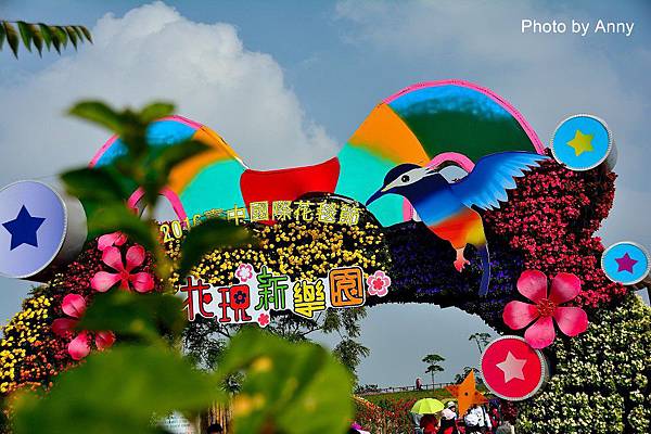 花毯節2.jpg 花毯節2.jpg