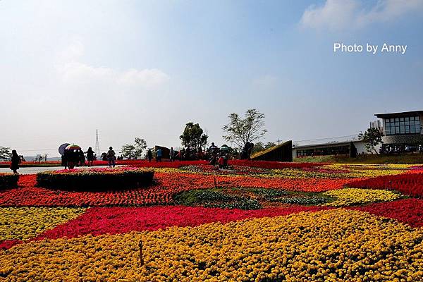 花毯節31.jpg