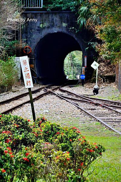 集集小火車20.jpg