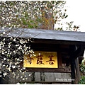 菩薩寺2