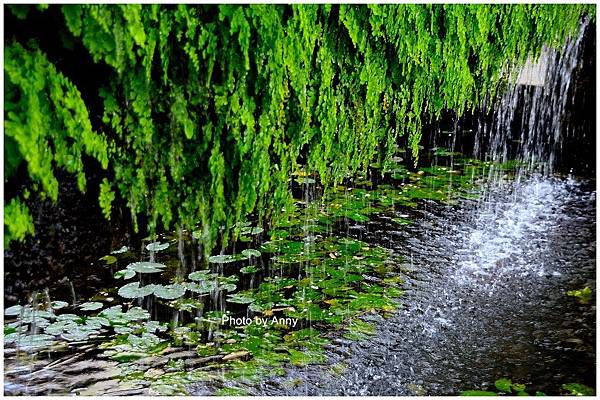 菩薩寺15