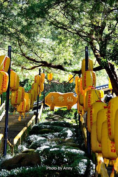 仙佛寺2