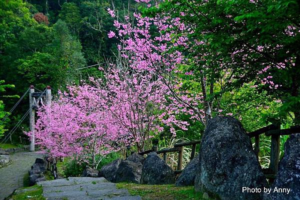 迷糊步道9.jpg