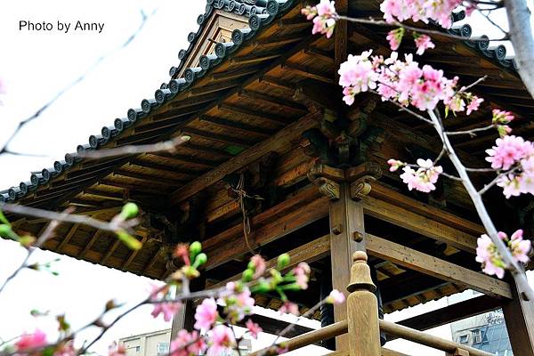 西本願寺33.jpg 西本願寺33.jpg