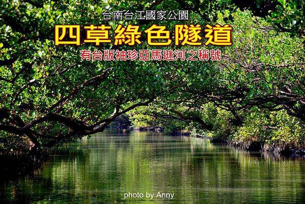 四草a1 四草a1