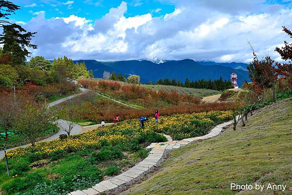 福壽山~花2.jpg