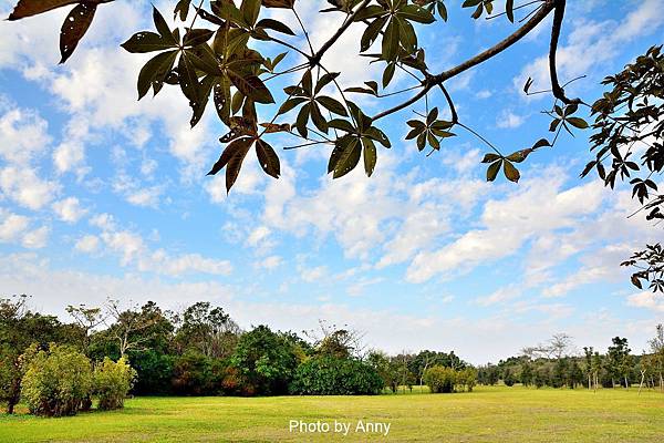 都會公園30.jpg