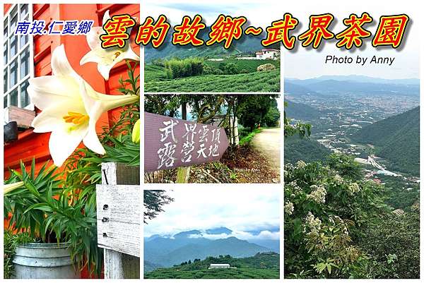 遊南投>仁愛鄉.雲的故鄉~武界茶園－Anny's秘密花園｜痞客邦