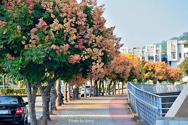 情人橋35.jpg