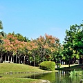 舊社公園4.jpg