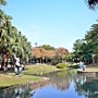 舊社公園1.jpg